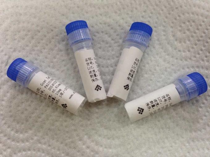 Анти- - антитела мыши моноклонального антитела Hybridoma Tetrahydrocannabinol