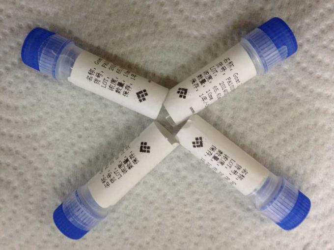Инфекционное заболевание антитела альфаы HCG козочки анти- Polyclonal для в изготовления Vitro