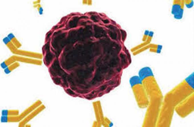 Мышь анти- - антитело Hybridoma Benzodiazepines моноклональное для исследования IVD