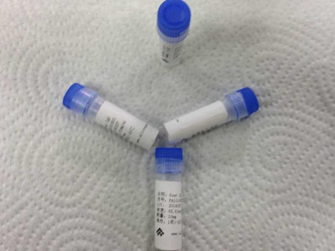 Антитела медицинского тела козочки IgG Polyclonal анти- изготовленные на заказ Polyclonal для диагностики Vitro
