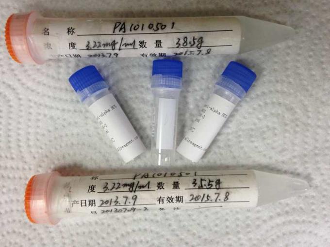Анти- - антитела мыши Metabolization метадона моноклональные