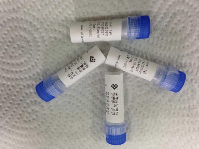 Протеин очищенный туберкулезом рекомбинатный для Assay мембраны