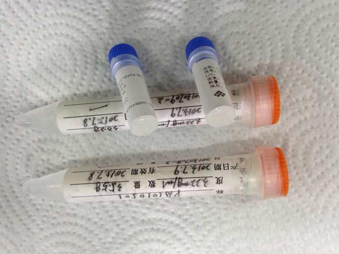 Медицинское анти- - антитело Hybridoma альфаы HCG моноклональное для исследования IVD