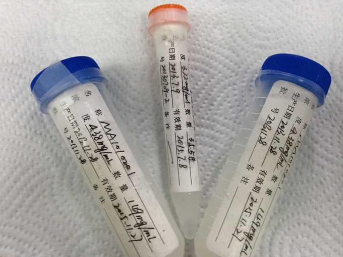 Мышь анти- - антитело Hybridoma HBeAg Mab-2 моноклональное для Assay мембраны