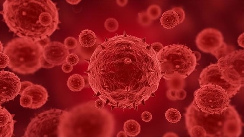 Latest company news about Больше чем подтверженное 100 или заподозренные случаи monkeypox были сообщены в 12 странах, включая США